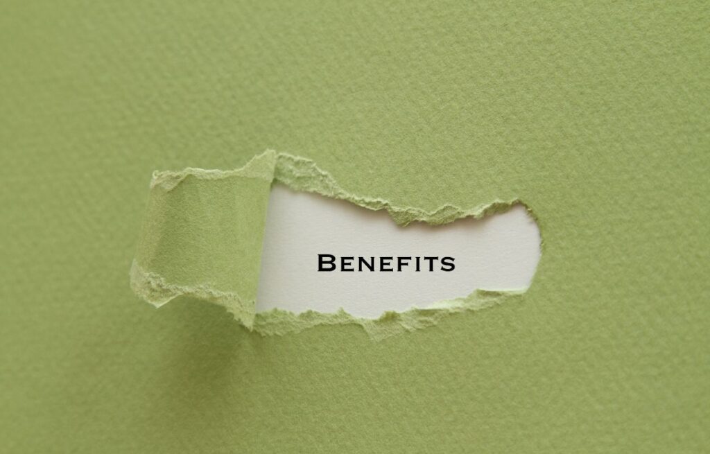 BENEFITS OF VINYL FENCING