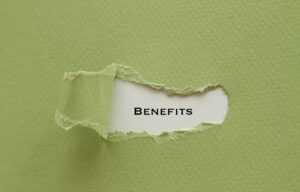 BENEFITS OF VINYL FENCING