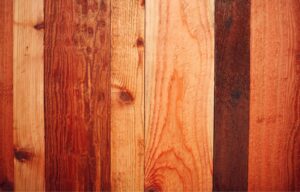 Our Fences—Pros and Cons of Cedar Fencing